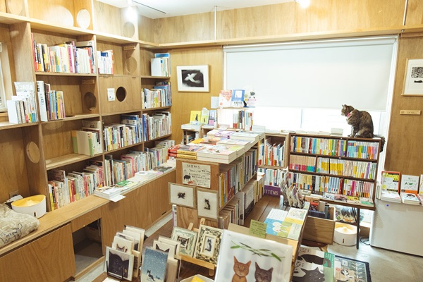 奥の部屋。本棚には猫が行き来できるキャットウオークがある 奥の部屋。本棚には猫が行き来できるキャットウオークがある