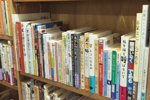 古本は奥の部屋の壁回りに配置。「吾輩は猫である」がらみでもこんなにある 古本は奥の部屋の壁回りに配置。「吾輩は猫である」がらみでもこんなにある