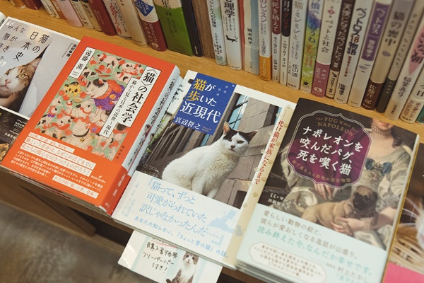 『<猫>の社会学』は猫信仰や、猫聖地と地形との関係、養蚕文化との関わりなど、民俗学的な要素が強い 『<猫>の社会学』は猫信仰や、猫聖地と地形との関係、養蚕文化との関わりなど、民俗学的な要素が強い