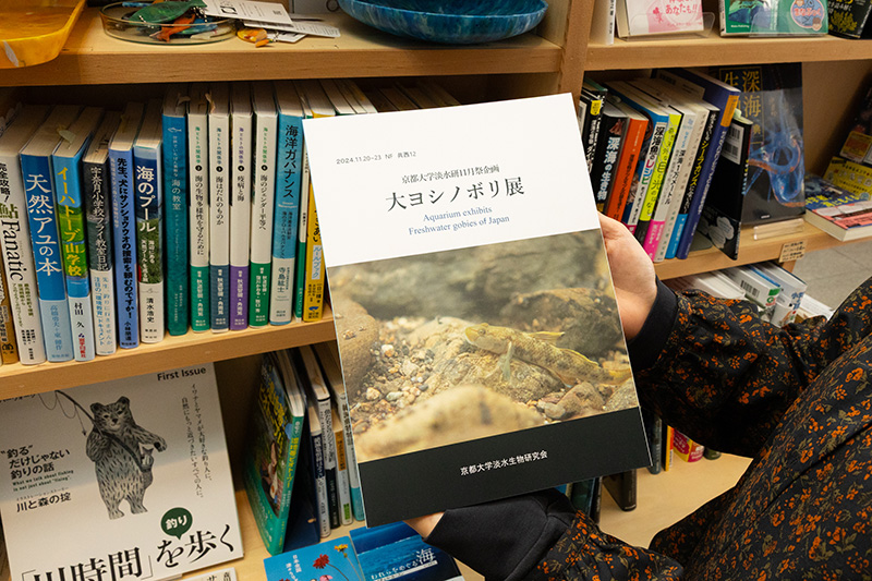 『大ヨシノボリ展記念図録　第66回京都大学11月祭　京都大学淡水生物研究会企画展』