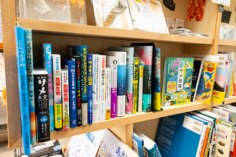 魚の中でもサメはとくに人気があって、関連書も多い