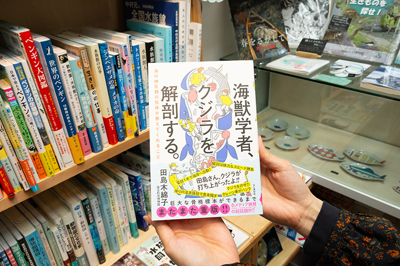『海獣学者、クジラを解剖する。海の哺乳類の死体が教えてくれること』（田島木綿子著／山と溪谷社）。浜辺に打ち上げられたクジラを解剖し、研究している国立科学博物館研究員によるエッセー。クジラの生態とともに、人間が海洋環境に与えている影響がわかる