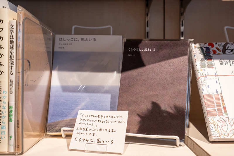 『はしっこに、馬といる』『くらやみに、馬といる』（いずれも河田桟著／カディブックス）
