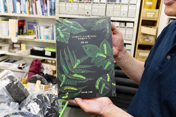 『日本産アゲハチョウ属 Papilio 幼生期のすべて』(深澤美佳著/昆虫文献 六本脚) 『日本産アゲハチョウ属 Papilio 幼生期のすべて』(深澤美佳著/昆虫文献 六本脚)