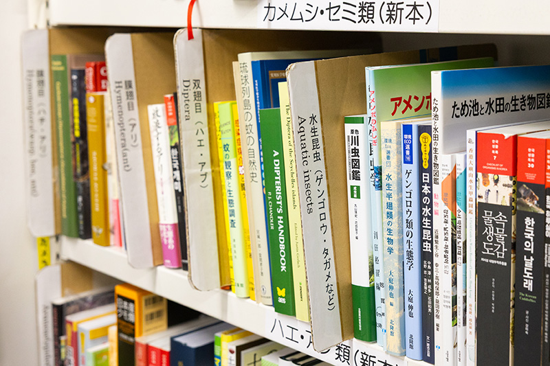 昆虫の分類群別に陳列されている本棚