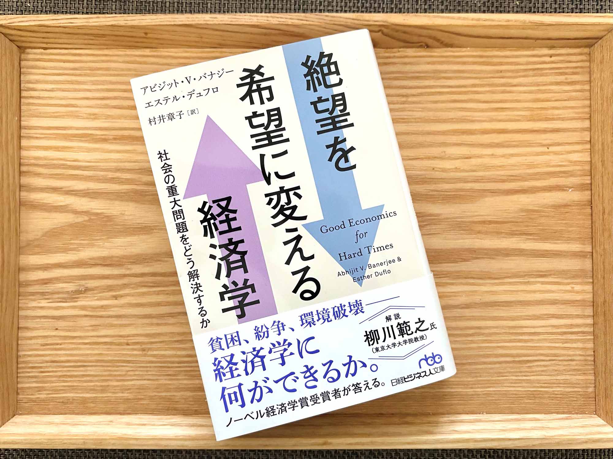 ベーシックインカムには様々な問題点が指摘されますが、本書ではどのように捉えられているでしょうか／画像クリックでAmazonリンクへ
