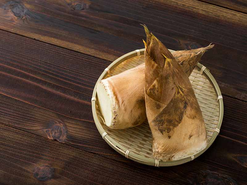小林カツ代　「竹の子は皮ごとゆでなきゃダメ？」皮をむいてゆでても味は同じ