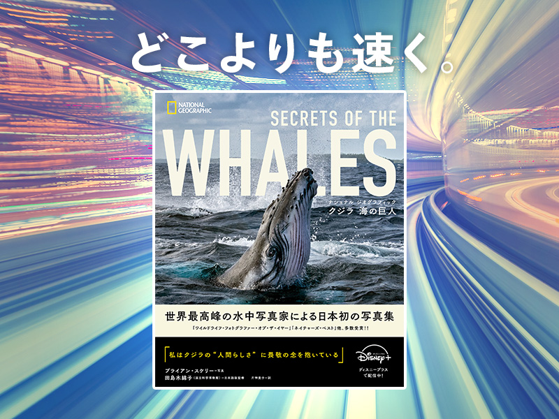 ココリコ田中直樹が推す「写真家とクジラの信頼関係」が伝わる一冊