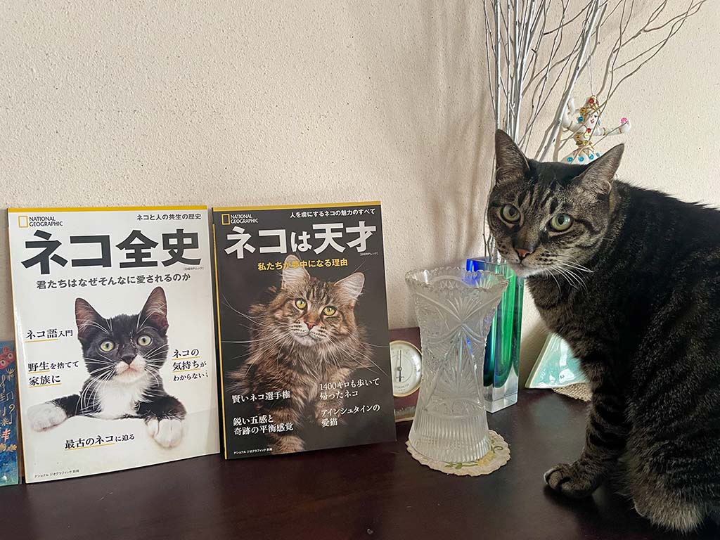 手前みそですが、編集長が猫の日にお薦めするナショジオの「ネコの本