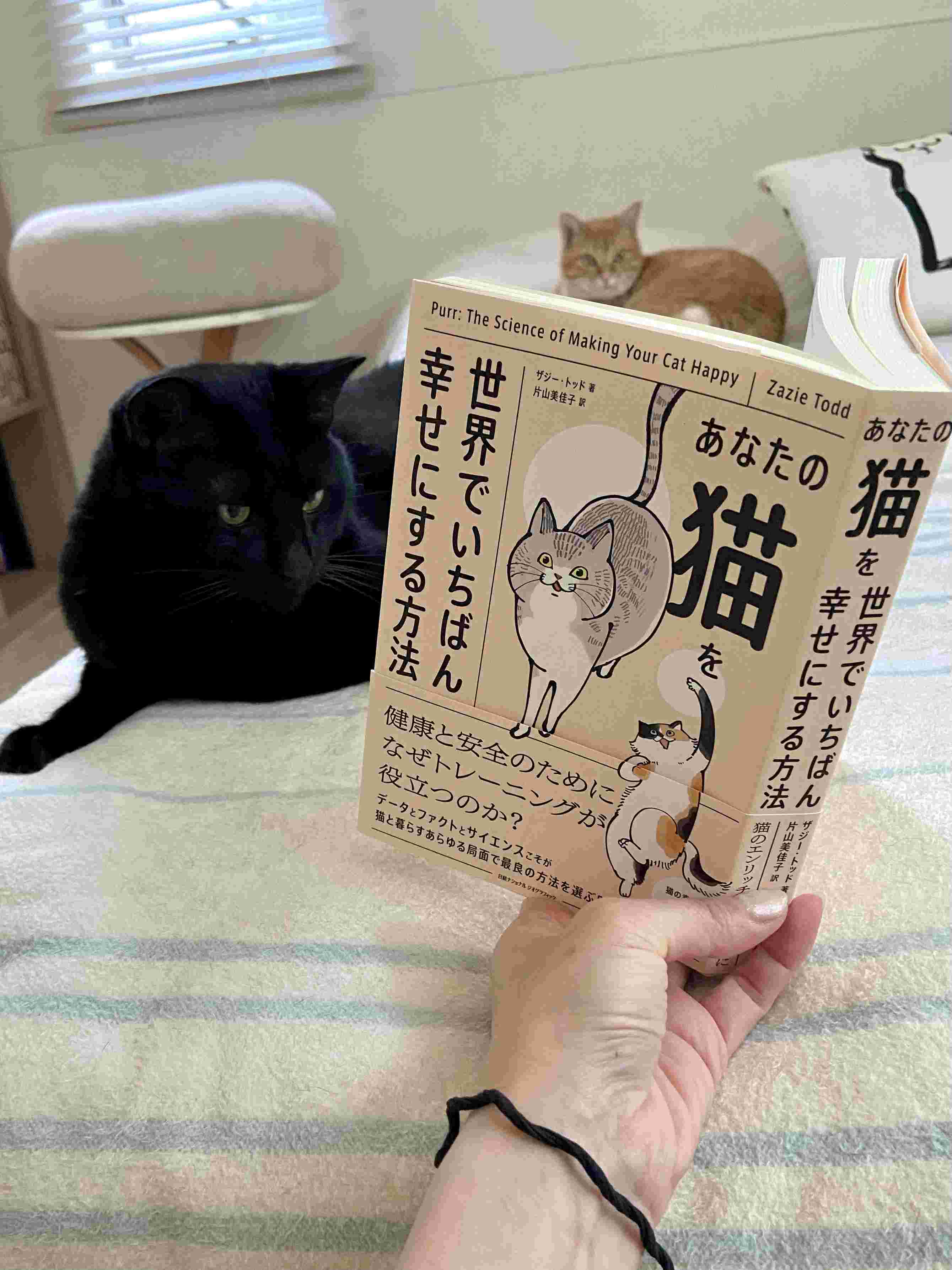 手前みそですが、編集長が猫の日にお薦めするナショジオの「ネコの本