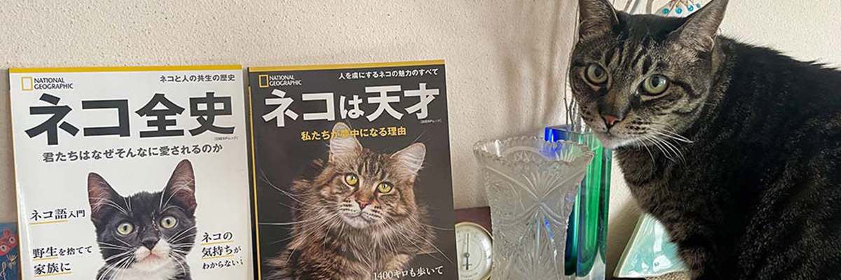 BOOK Selection