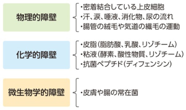 病原体の侵入を防ぐ「自然バリア」は3種類