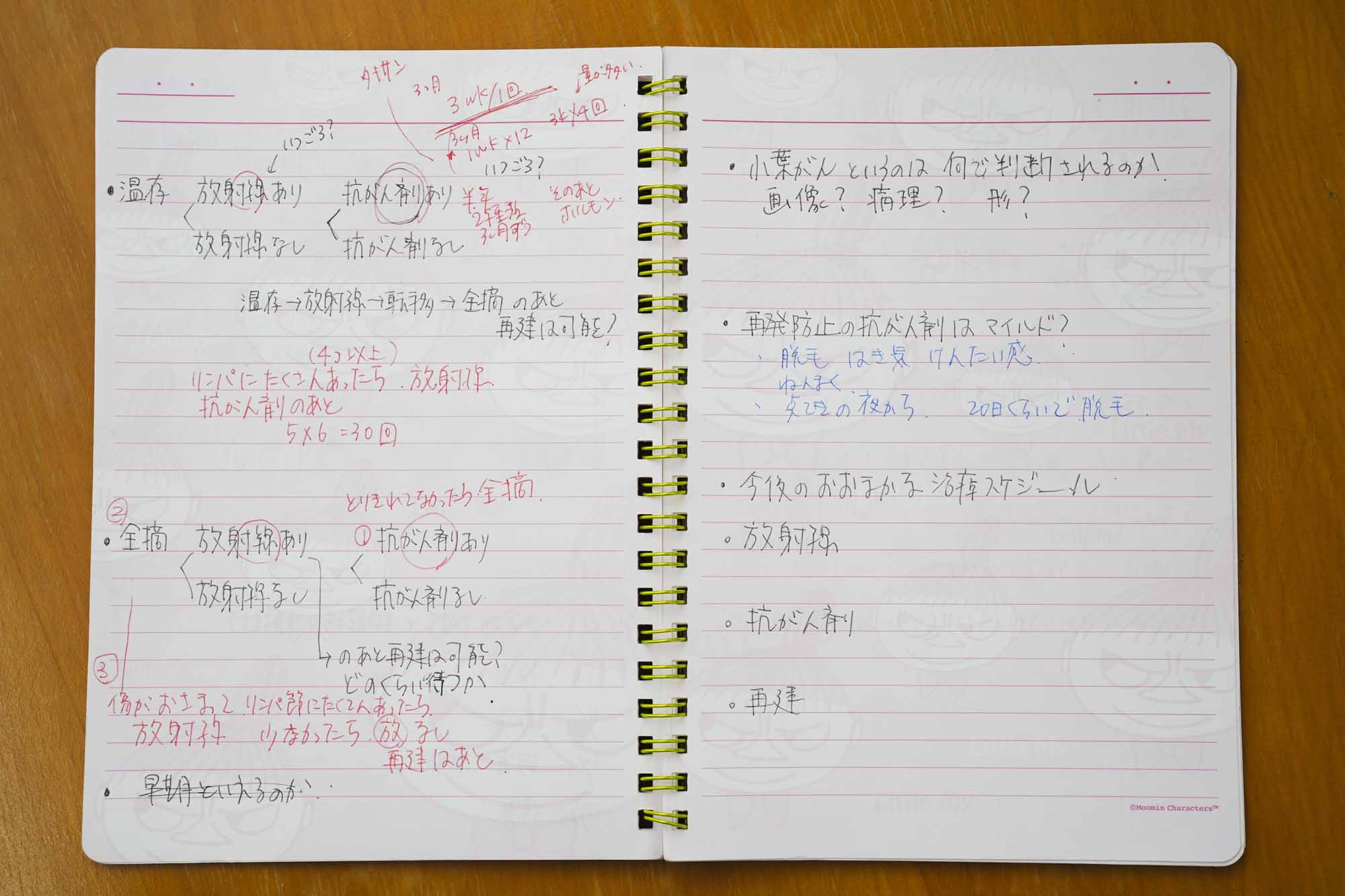 治療や副作用の状況、体調の変化などを記録した「闘病ノート」