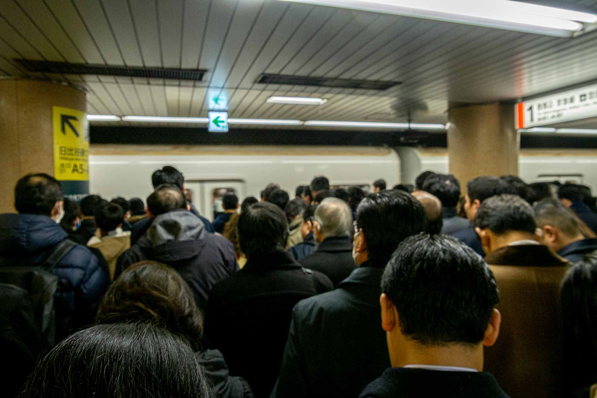 （写真：Nii Koo Nyan／stock.adobe.com）
