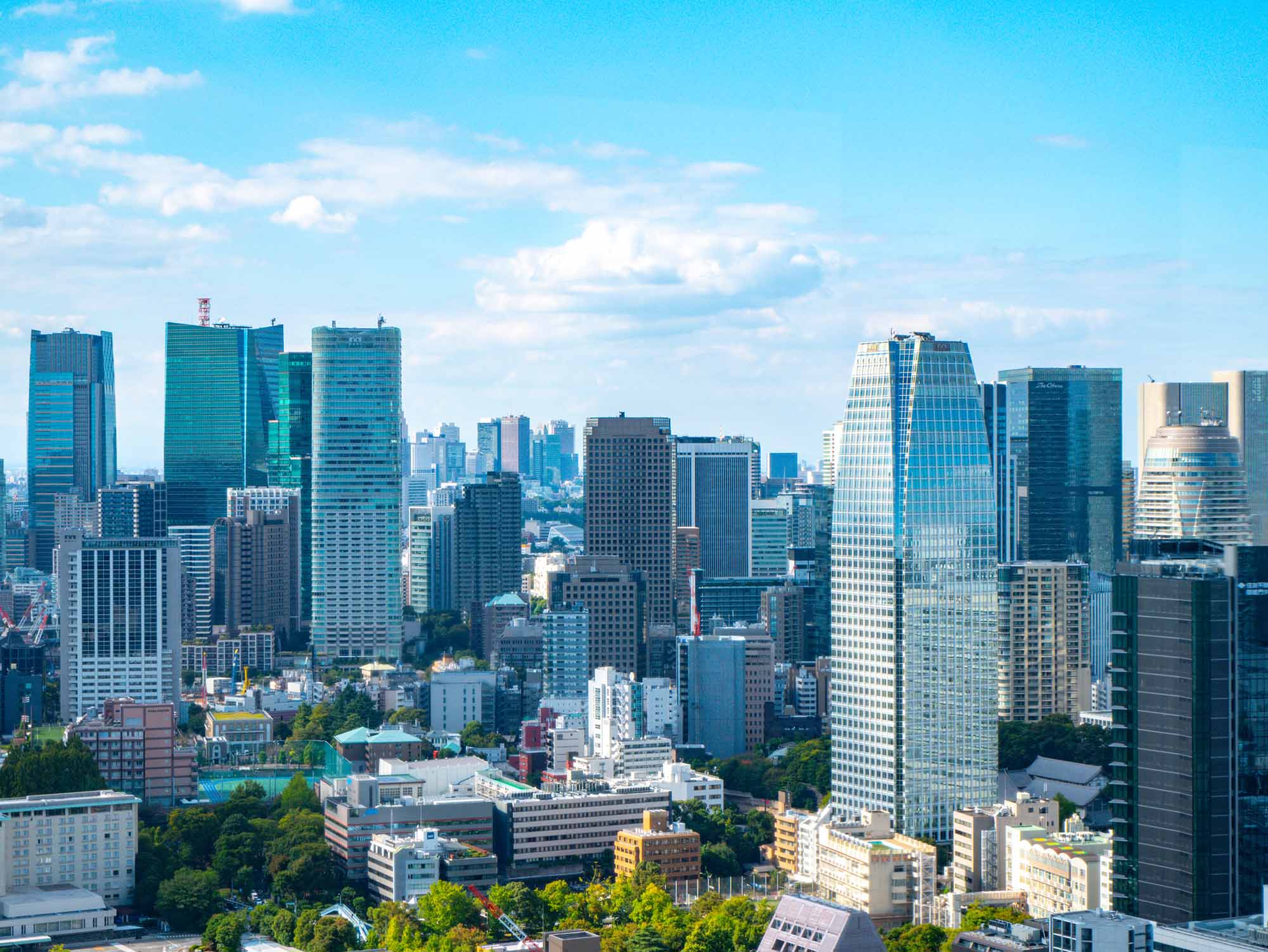 （写真：BSDC／stock.adobe.com）