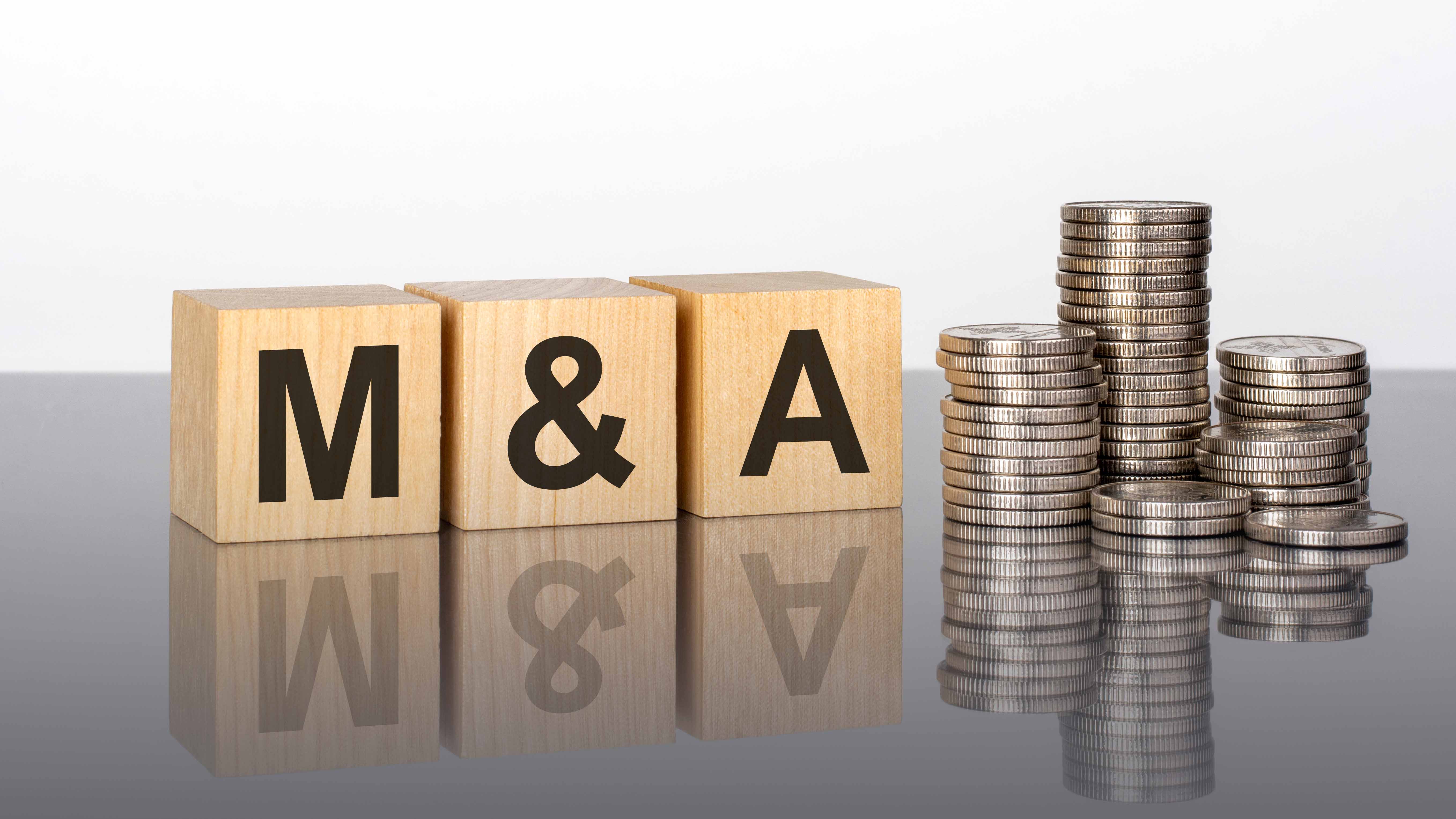M＆Aにおける重要な要素としてシナジー、ガバナンス、プレミアムがある（写真：Maks_Lab／stock.adobe.com）
