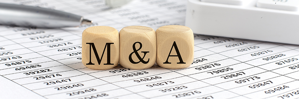 マッキンゼー　価値を創るM＆A