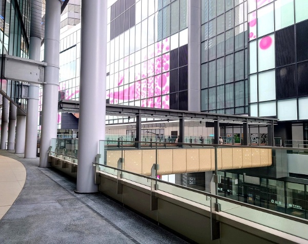 SHIBUYAサイド(A街区)とSAKURAサイド(B街区)を2階レベルでつなぐ歩行者デッキ。真下を通るのが、新たに整備された都市計画道路(補助線街路第18号線)で恵比寿方面に続く(写真:日経クロステック)