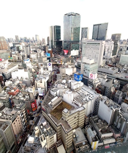 窓から眼下をのぞき込むと、文化村通りの先にスクランブル交差点が見える(写真:日経クロステック)