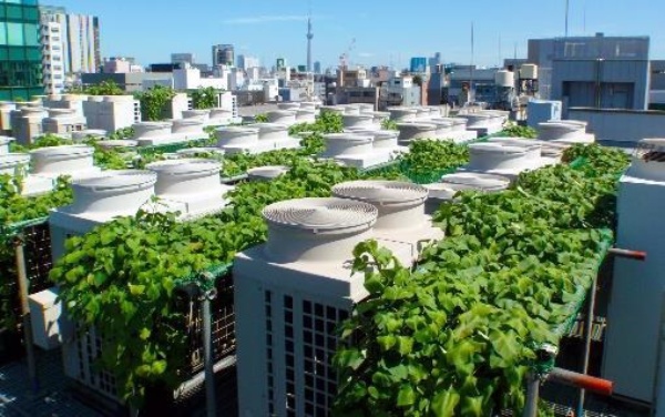 室外機芋緑化システムのイメージ(写真:住友商事、日建設計)