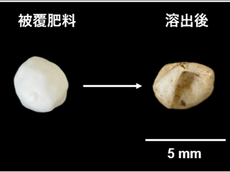 便利さの代償、農業プラ汚染問題とは何か？