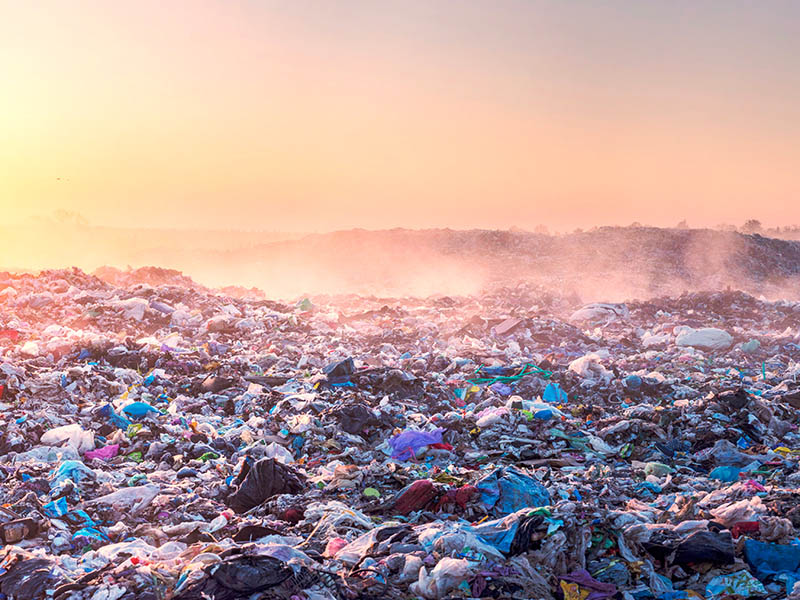 プラスチック・クライシス