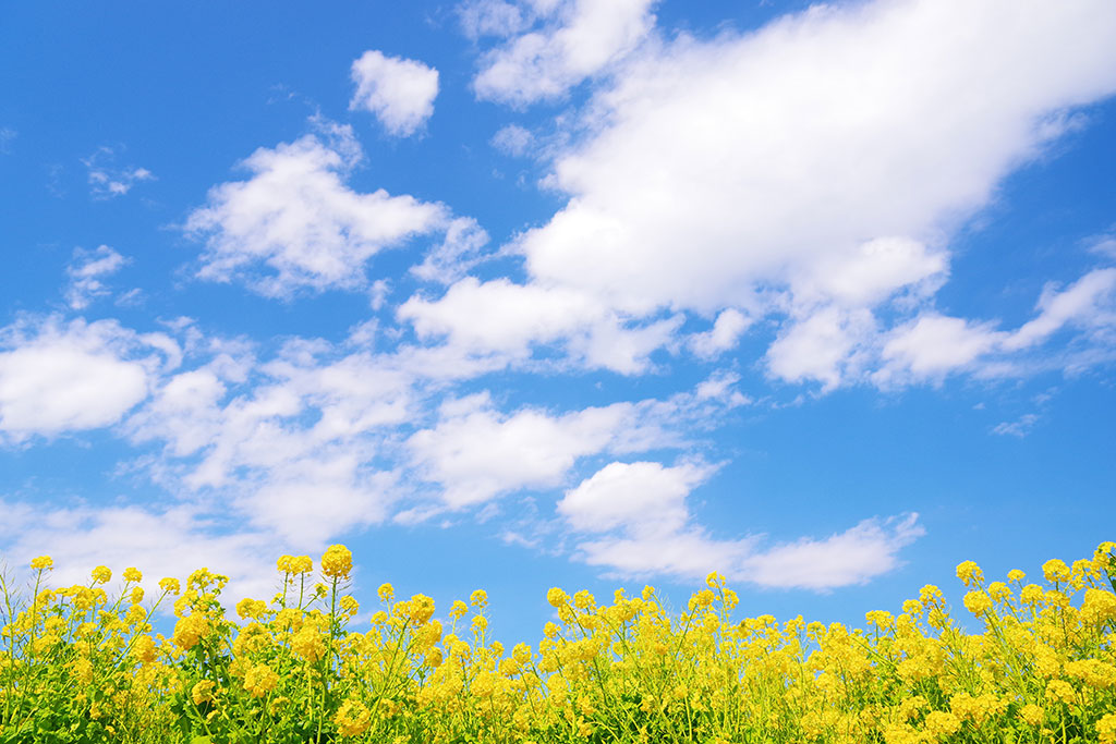 （写真：ayatomosyun／stock.adobe.com）