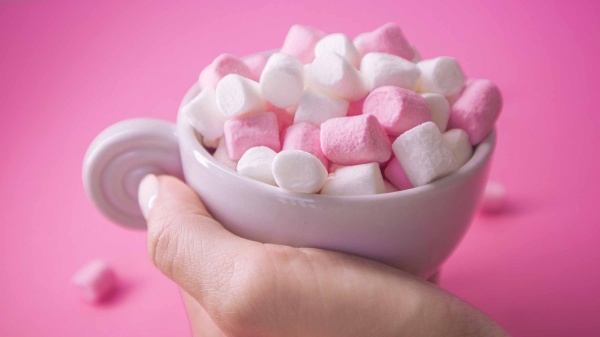 「マシュマロテスト」で最後まで我慢できた子供らを追跡調査すると、社会的地位が高くなっているという結果が出ているが…(写真/Shutterstock)