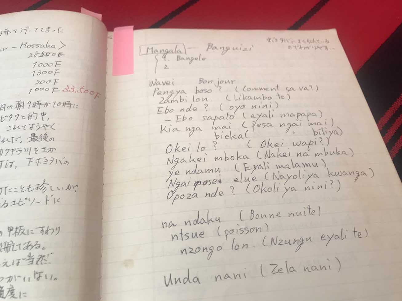 教科書のない辺境言語どう学ぶ 高野秀行氏に聞く語学学習の本質 日経BOOKプラス