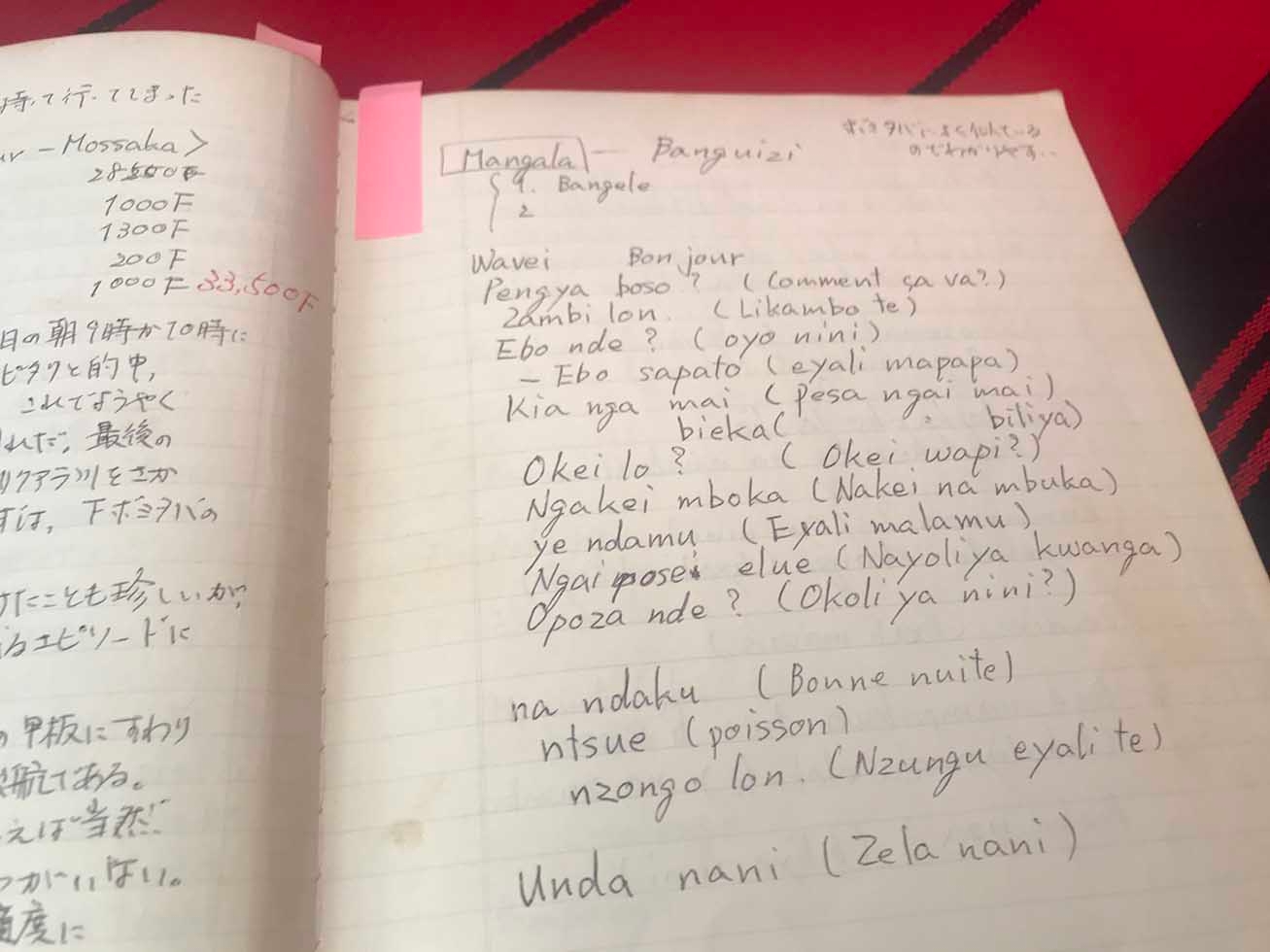 教科書のない辺境言語どう学ぶ 高野秀行氏に聞く語学学習の本質 日経BOOKプラス