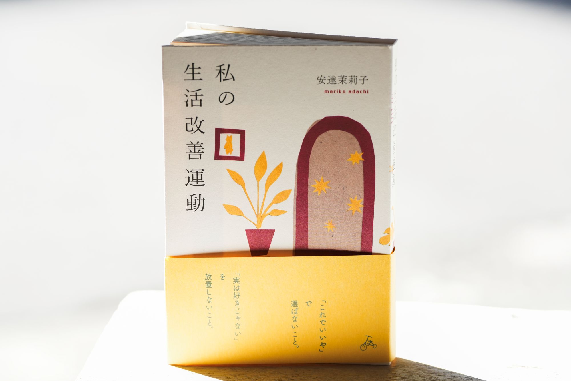 『私の生活改善運動』（安達茉莉子）。最近は中高年の男性にも売れているという