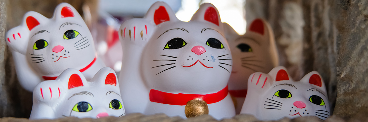 希少品！DVD バリュー株投資による資産づくり「収益バリュー