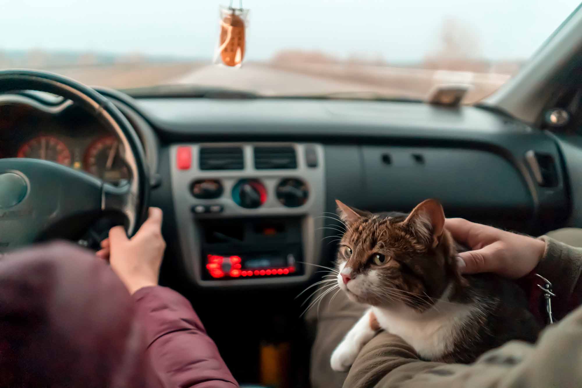 中古車の走行距離が9999kmと10000kmの場合、10000kmの車のほうが不当に質が悪いと判断されてしまう可能性がある（写真はイメージ）（写真：Zhanna/stock.adobe.com）