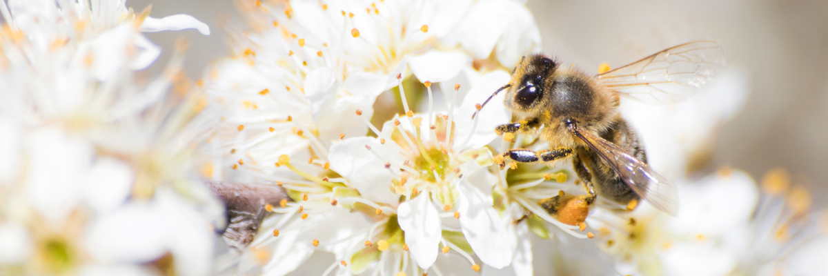 栗田工業 「知名度ゼロ」から海外スタートアップの信頼を得て協業