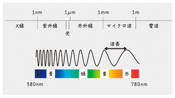 電磁波の波長と分類。光は電波やX線などと同じ電磁波の一種。光より波長が長いのが赤外線や電波、短いのが紫外線やX線。光の波長は約380～780ナノメートルで、波長により色が変化する