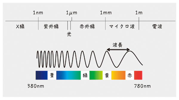 電磁波の波長と分類。光は電波やX線などと同じ電磁波の一種。光より波長が長いのが赤外線や電波、短いのが紫外線やX線。光の波長は約380~780ナノメートルで、波長により色が変化する 電磁波の波長と分類。光は電波やX線などと同じ電磁波の一種。光より波長が長いのが赤外線や電波、短いのが紫外線やX線。光の波長は約380~780ナノメートルで、波長により色が変化する