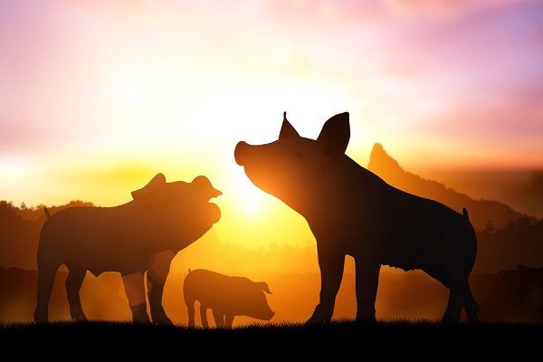 『動物農場』ではレーニン、スターリン、トロツキーとおぼしき3匹のブタが描かれる(写真:shutterstock) 『動物農場』ではレーニン、スターリン、トロツキーとおぼしき3匹のブタが描かれる(写真:shutterstock)