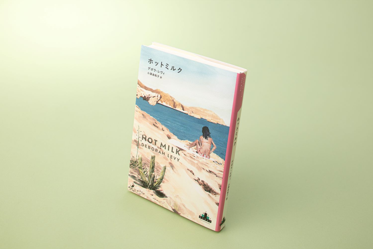 『ホットミルク』（デボラ・レヴィ著、小澤身和子訳／新潮社）／画像クリックでAmazonページへ