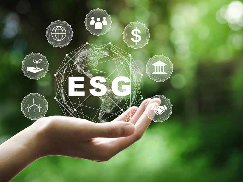 ESG指標を徹底分析　何が企業価値を高めるのか？