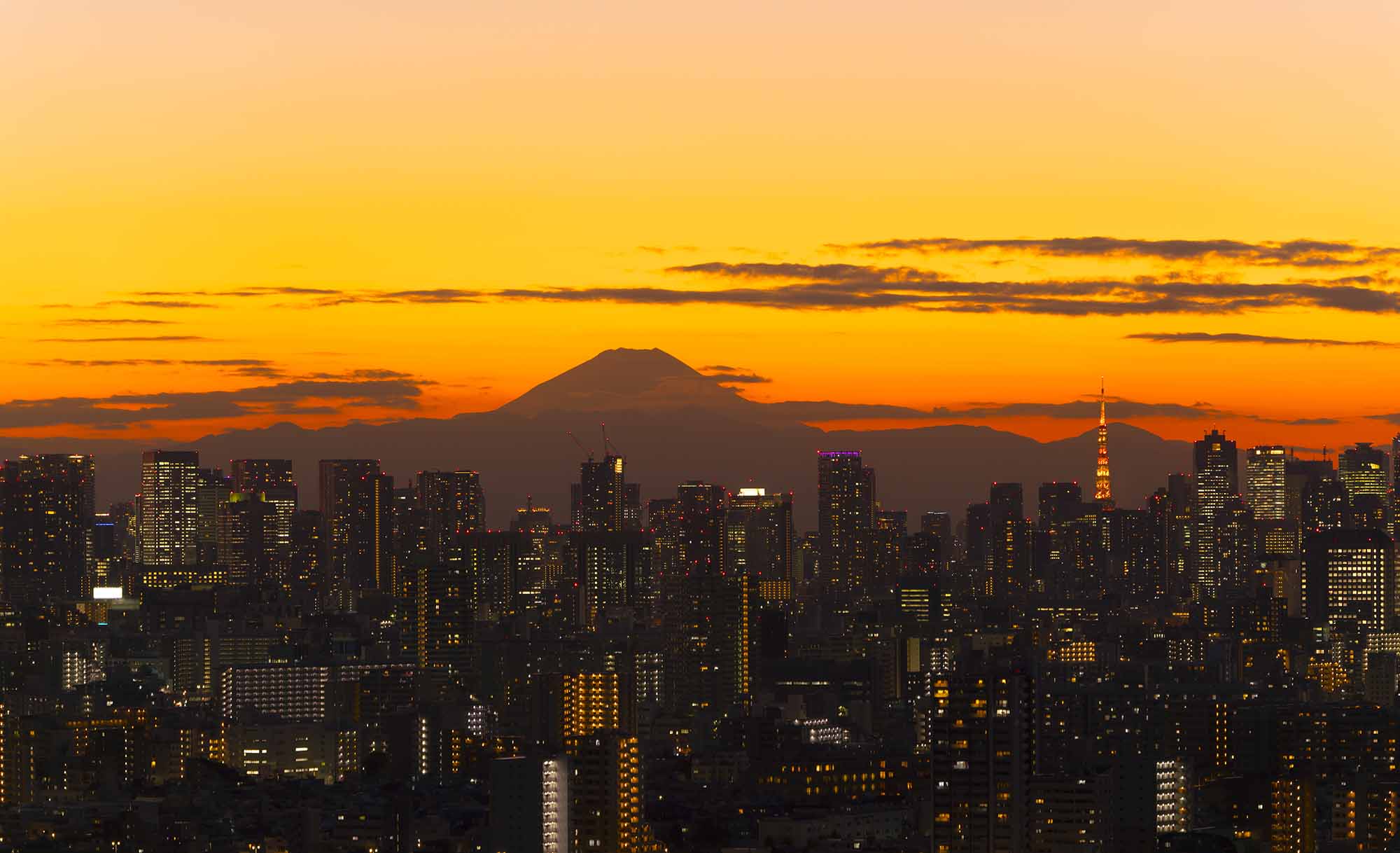 （写真：oka／stock.adobe.com）