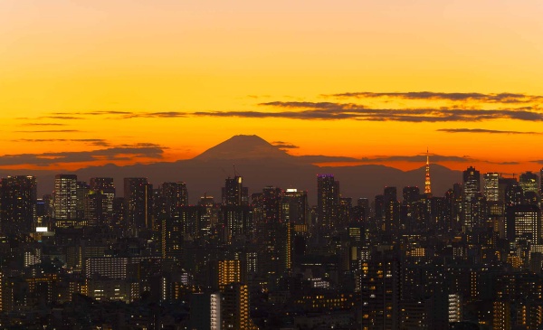 (写真:oka/stock.adobe.com)