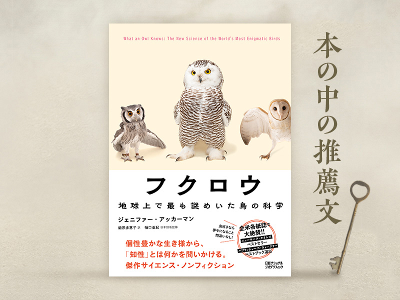 フクロウ 地球上で最も謎めいた鳥の科学 | 日経BOOKプラス