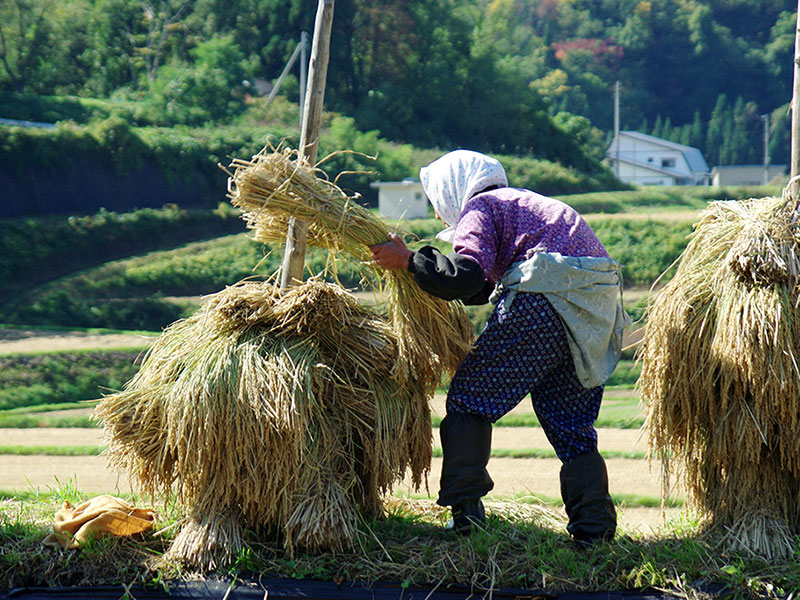 富・戦争・叡知 | 日経BOOKプラス