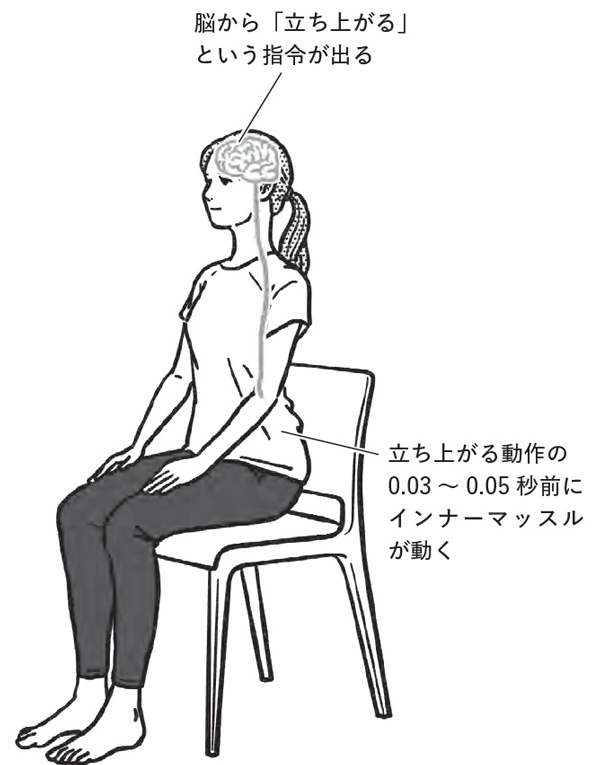 動作の前に腹横筋などがギュッと収縮して腰椎の周りを安定させる（『すごい頸椎』より。イラスト＝内山 弘隆）