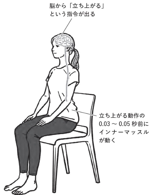 動作の前に腹横筋などがギュッと収縮して腰椎の周りを安定させる(『すごい頸椎』より。イラスト=内山 弘隆)