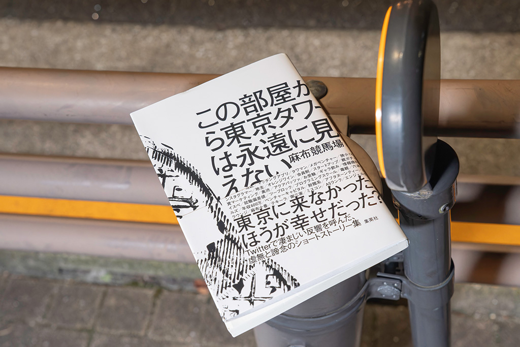 Twitter（現:X）で大きな反響を呼んだ「タワマン文学」の1作目『この部屋から東京タワーは永遠に見えない』（集英社）／画像クリックでAmazonページへ