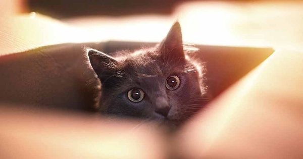 (画像:AlexGo/stock.adobe.com) (画像:AlexGo/stock.adobe.com)