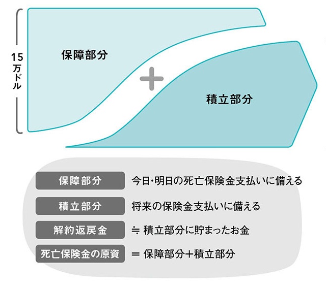 終身保険の仕組み ―「老後の保険金の大半は自腹」という考察