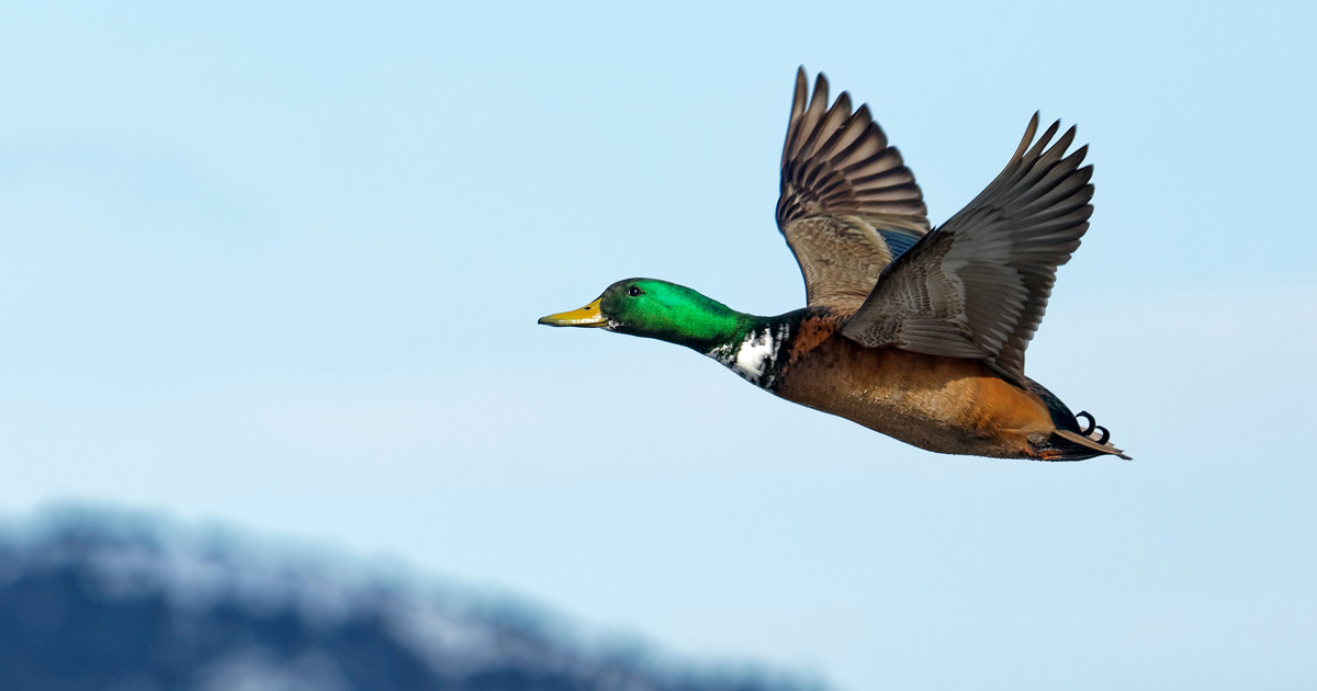 （写真：ggw／stock.adobe.com）