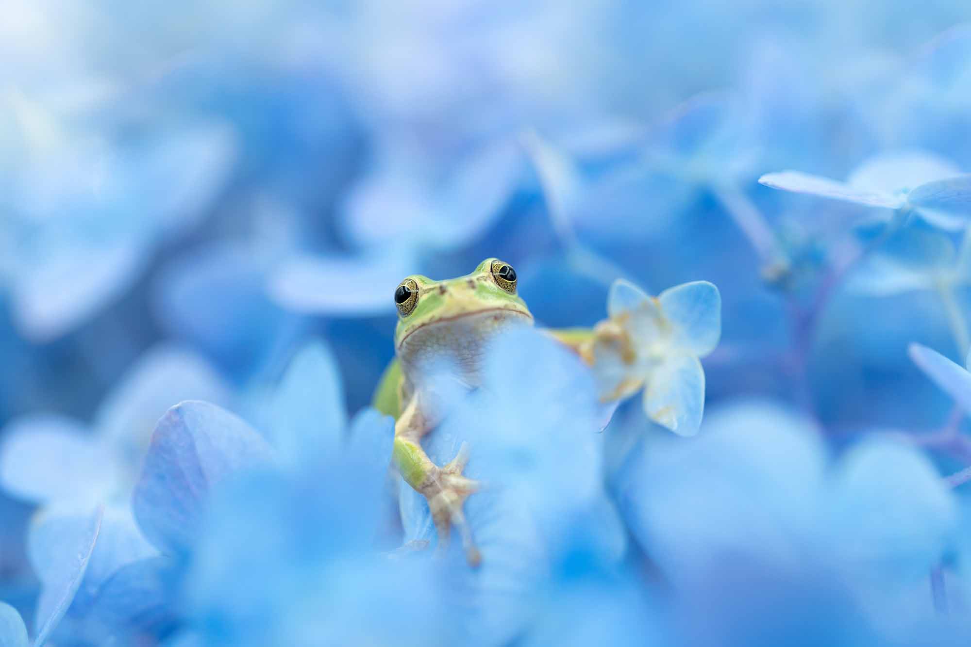 (写真:sand555/stock.adobe.com) (写真:sand555/stock.adobe.com)